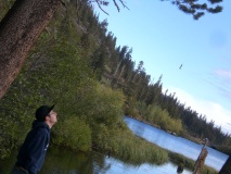 Photo 36