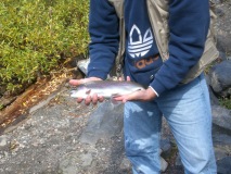 Photo 29