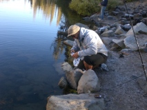 Photo 23