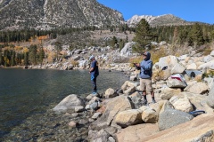 PXL_20241009_202149141.MP_