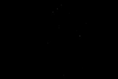 PXL_20241011_113910049.PORTRAIT.ORIGINAL