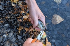 PXL_20241012_160509837