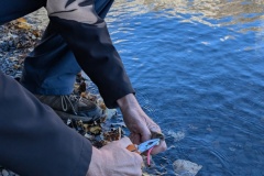 PXL_20241012_160514499