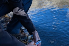 PXL_20241012_160516304