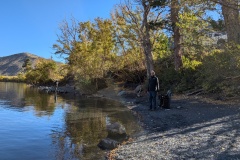 PXL_20241012_162746536.MP_