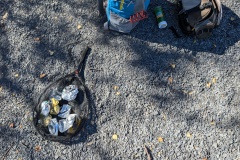 PXL_20241012_181233571