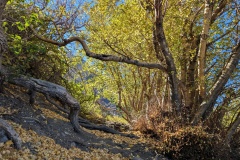 PXL_20241012_181455052