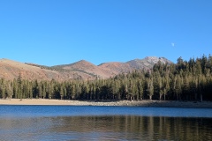 PXL_20241012_235730272.PORTRAIT.ORIGINAL