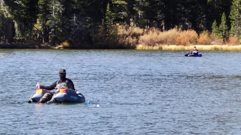Photo 31