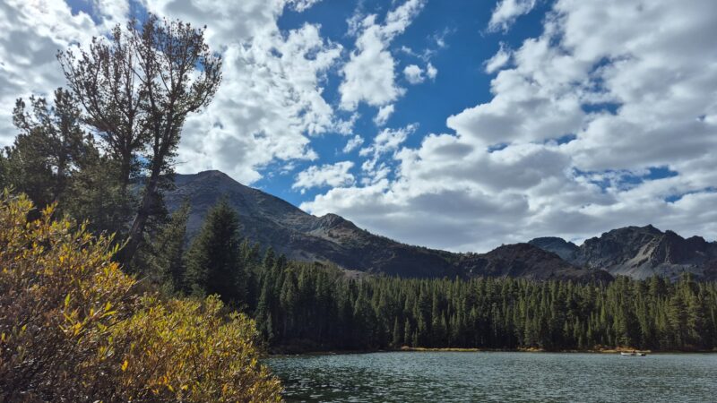 Photo 37