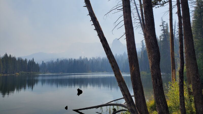 Photo 6