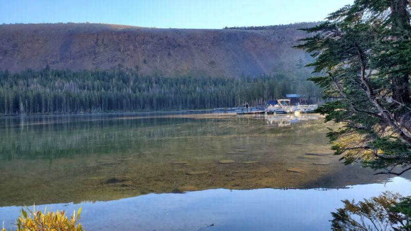 Photo 29