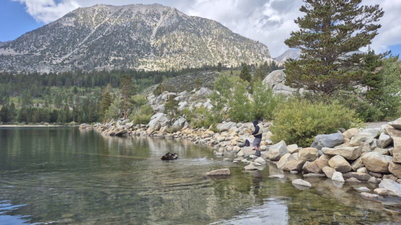 Photo 10