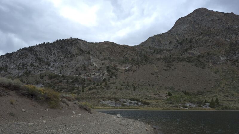 Photo 38
