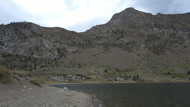 Photo 37