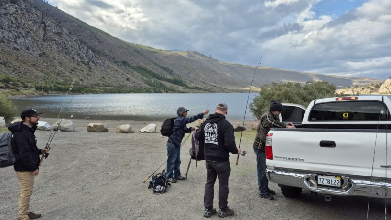 Photo 44