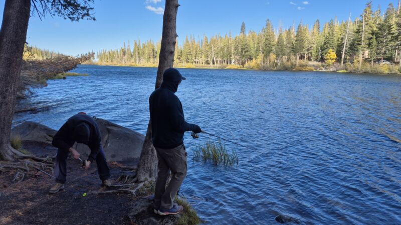 Photo 17